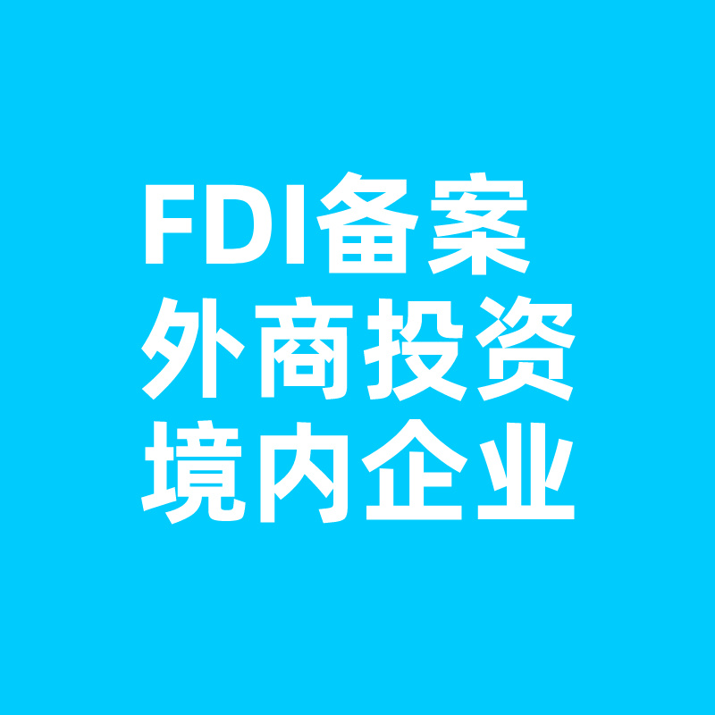 FDI外商直接投资备案